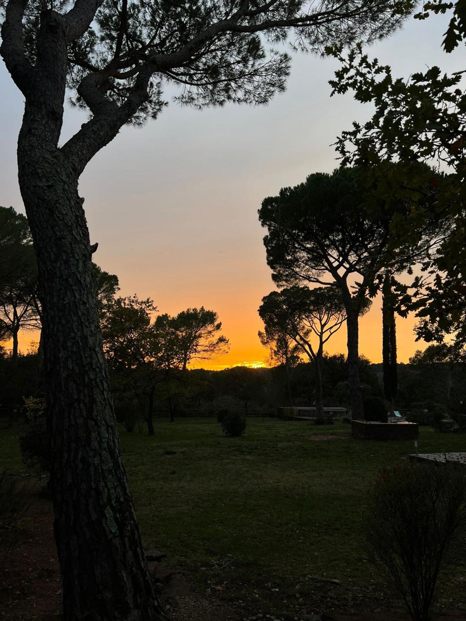 La Villa Le Cannet-des-Maures Exterior photo